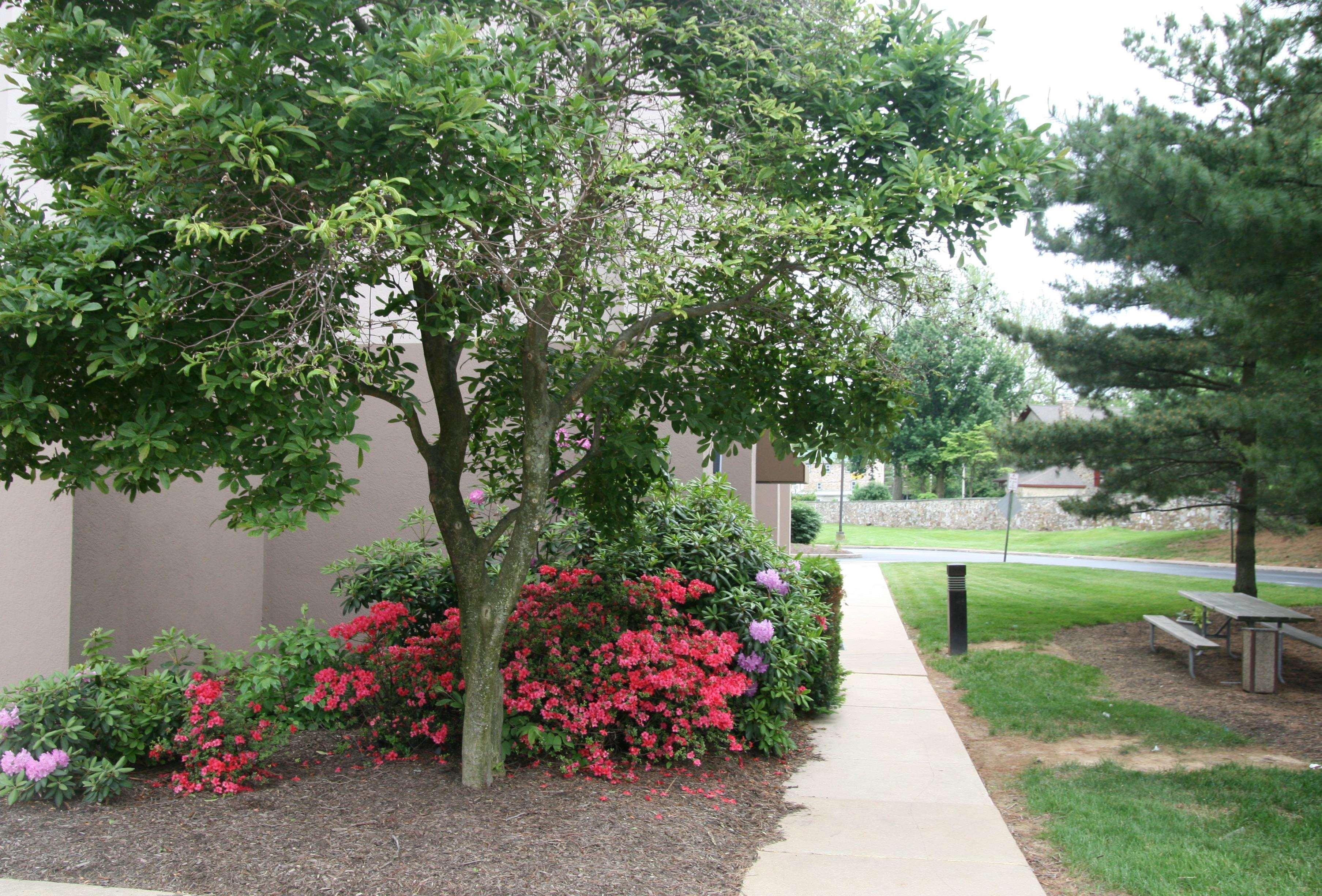 Hampton Downingtown/exton
